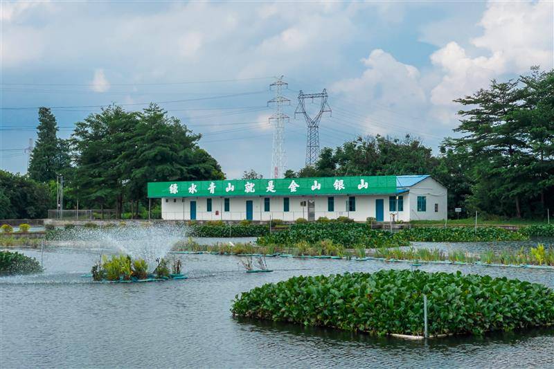 空氣能熱泵在水產(chǎn)養(yǎng)殖中對扇貝的影響_歐特斯空氣能熱水器調(diào)溫度視頻