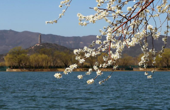 采暖季結(jié)束，是時(shí)候深度了解壁掛爐的清洗除垢與保養(yǎng)知識(shí)了_壁掛爐使用壽命多少年