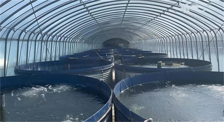 水產(chǎn)養(yǎng)殖空氣能熱泵：效果究竟如何？_空氣源熱泵采暖價格