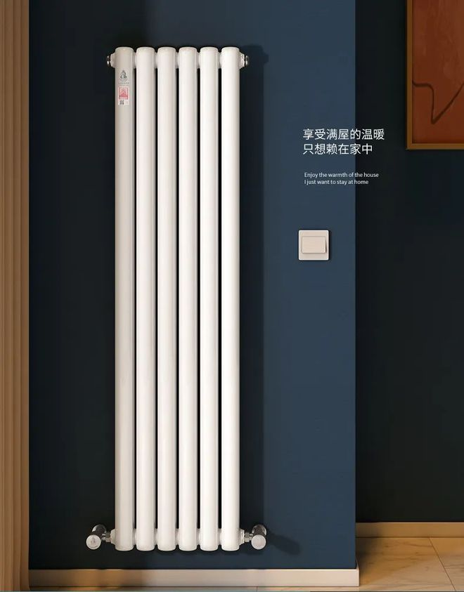 中國(guó)暖氣片品牌產(chǎn)品特點(diǎn)_老式暖氣片一片有11斤的嗎