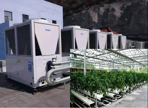 用海爾空氣能取暖天津蔬菜大棚越冬環(huán)保又經(jīng)濟！_空氣能供暖工作原理圖