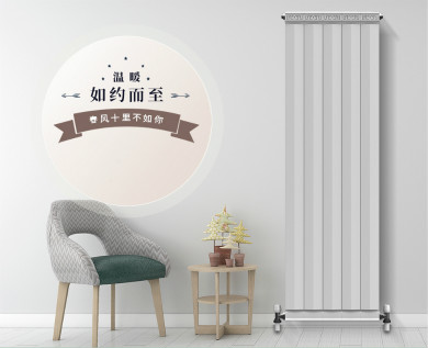 集中供暖是選擇鋼制還是銅鋁復(fù)合的好？_家用燃?xì)忮仩t供暖