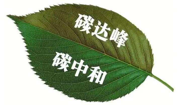 “碳中和”愿景下，暖通行業(yè)該如何發(fā)力？_威能壁掛爐f22