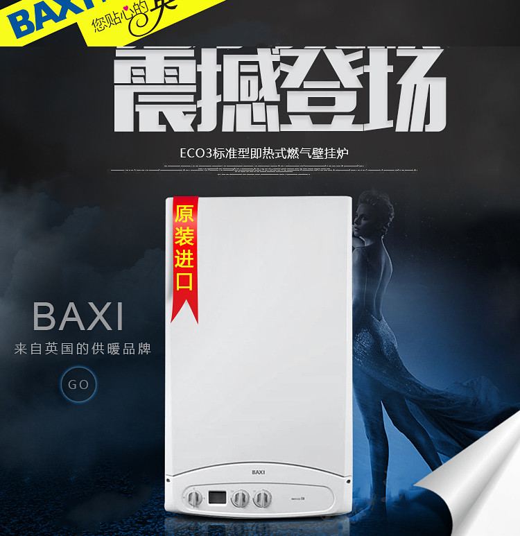 八喜壁掛爐使用說明書_菲斯曼壁掛爐使用說明