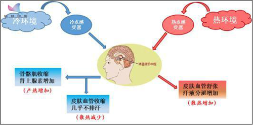 家庭采暖系統(tǒng)的最佳溫度調(diào)控區(qū)間你清楚嘛？_電暖壁掛爐
