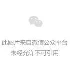 重磅！2024年度中國家電行業(yè)磐石獎揭曉，迪森再獲兩項殊榮_林內(nèi)壁掛爐e6