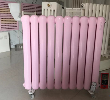 為什么南方家庭都會(huì)選擇電暖氣而非暖氣片？_暖如家網(wǎng)